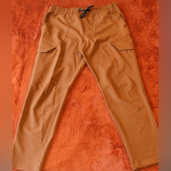 Burnt Orange, stretch waist pants - Picture 1 of 3